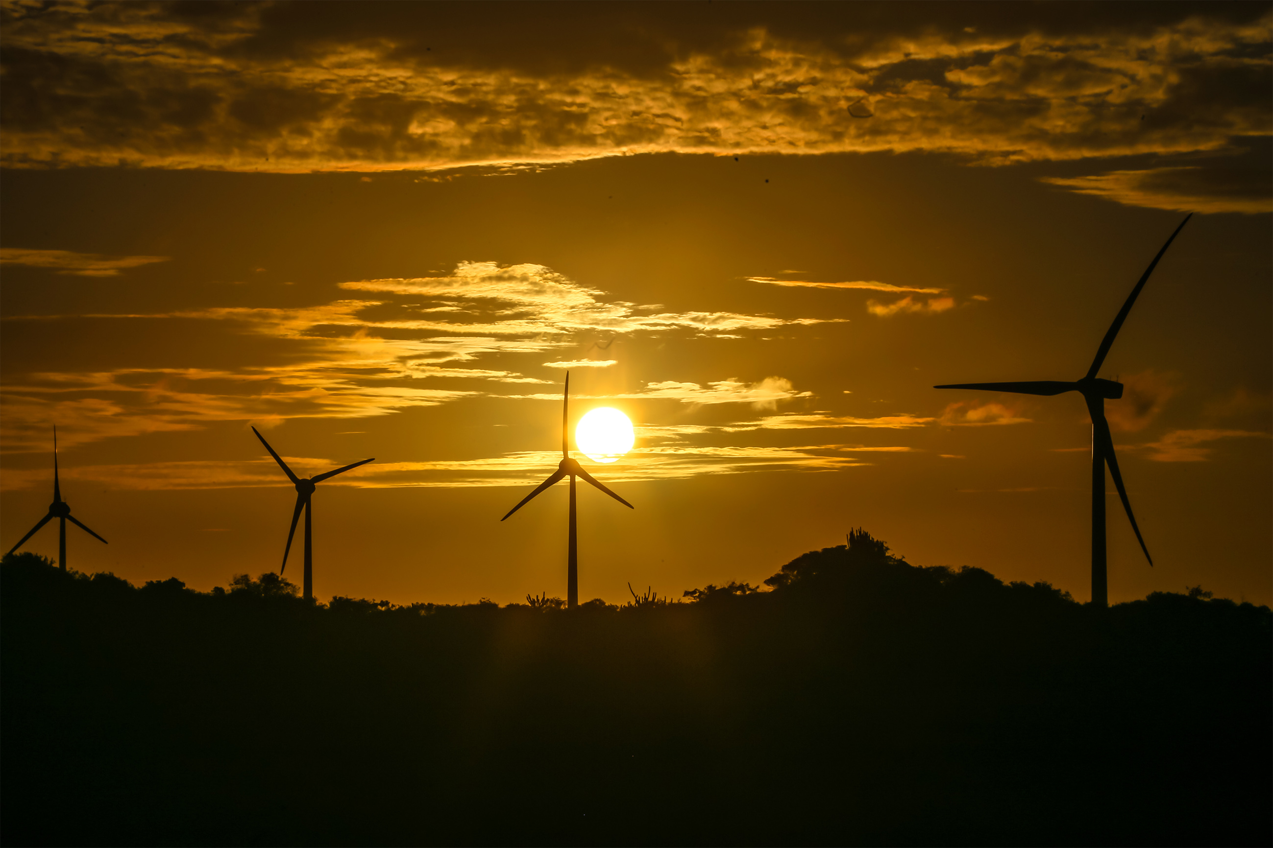 RiodoFogo_Iberdrola_Neoenergia_CanindeSoares (3).jpg